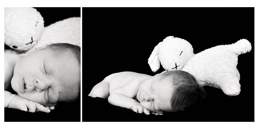tampa-newborn-baby-photographer-37