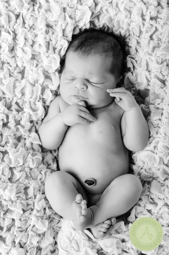 Tampa newborn and baby photographer