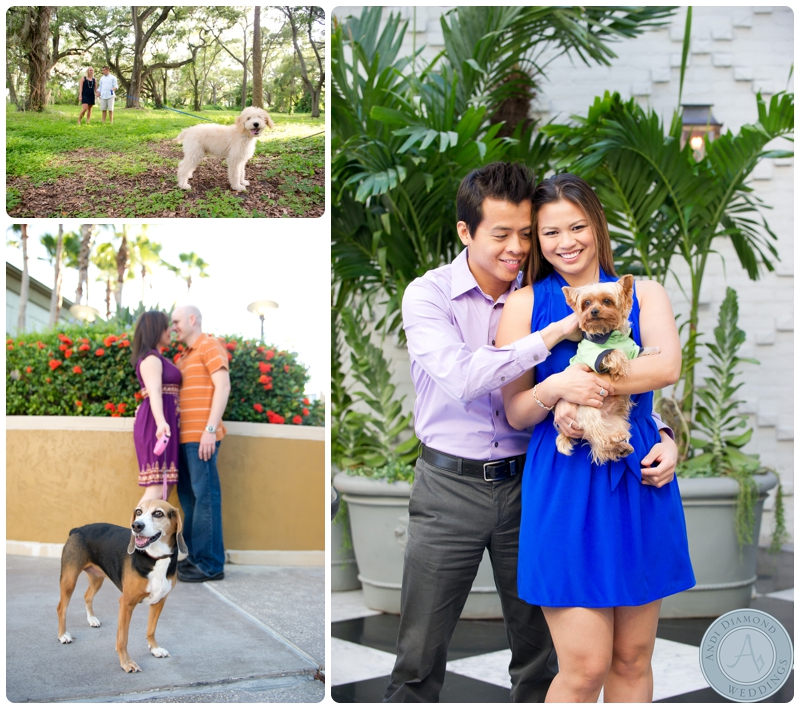 tampa engagement session with dog_0008.jpg