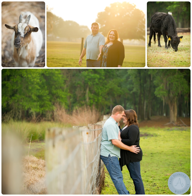 tampa engagement session with dog_0012.jpg