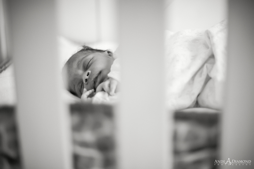 tampa baby photographers, tampa newborn photographers_0020.jpg