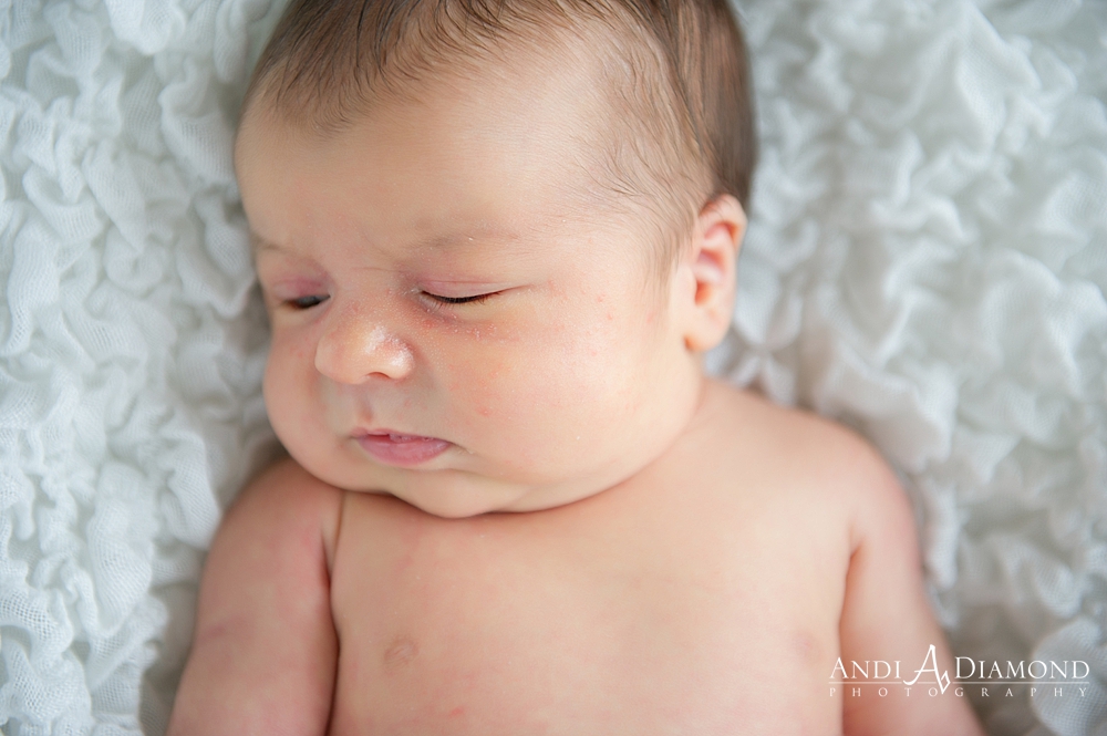 A Loving Tampa Newborn Photo Session